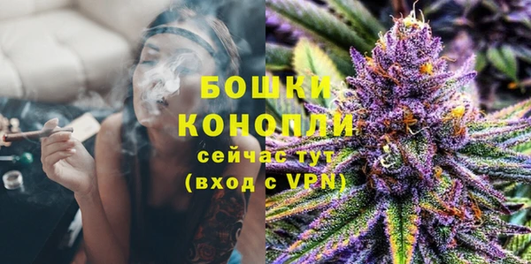 шишки Бронницы