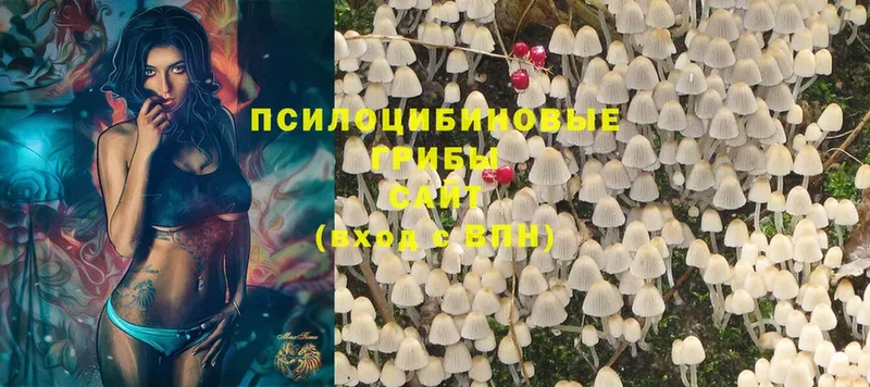 Псилоцибиновые грибы MAGIC MUSHROOMS  наркошоп  ссылка на мегу маркетплейс  Выкса 